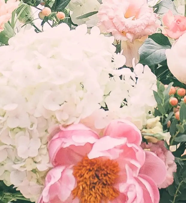 Smell center image 3