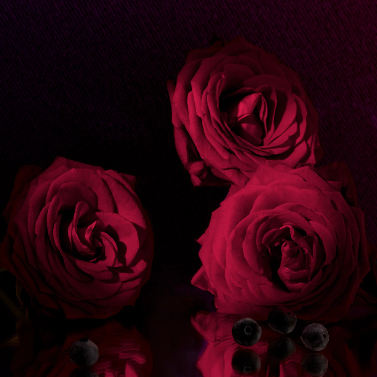 The Intenses mobile banner