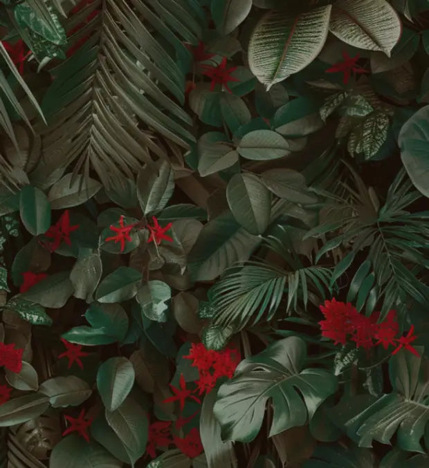 Smell center image 2