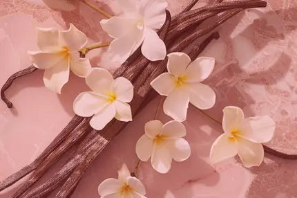 Smell center image 2