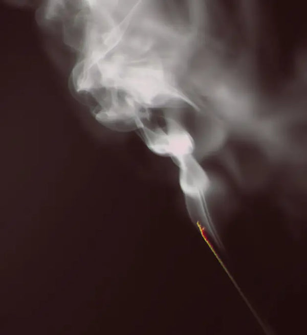 Smell right image