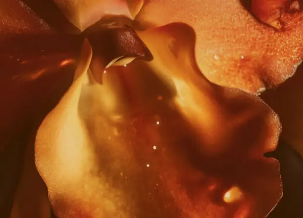 Smell center image