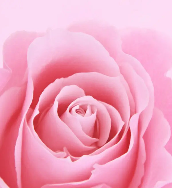 Smell center image