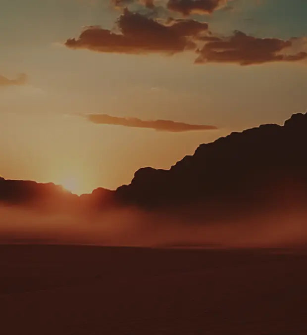 Smell center image 2