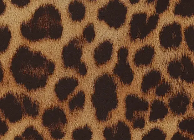 Smell center image 1