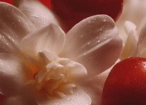 Smell center image