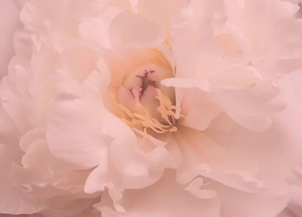 Smell right image 1