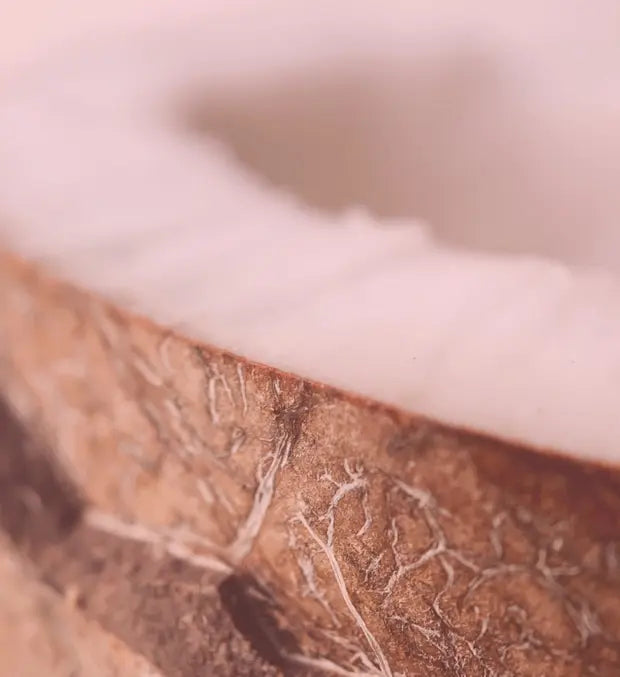 Smell center image 3