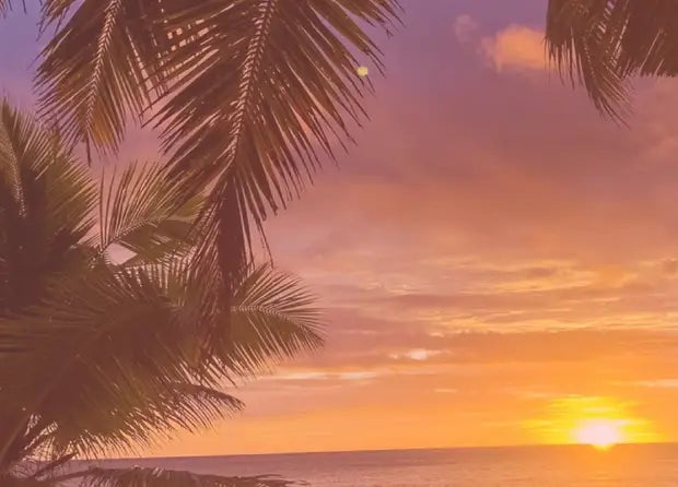 Smell center image 2