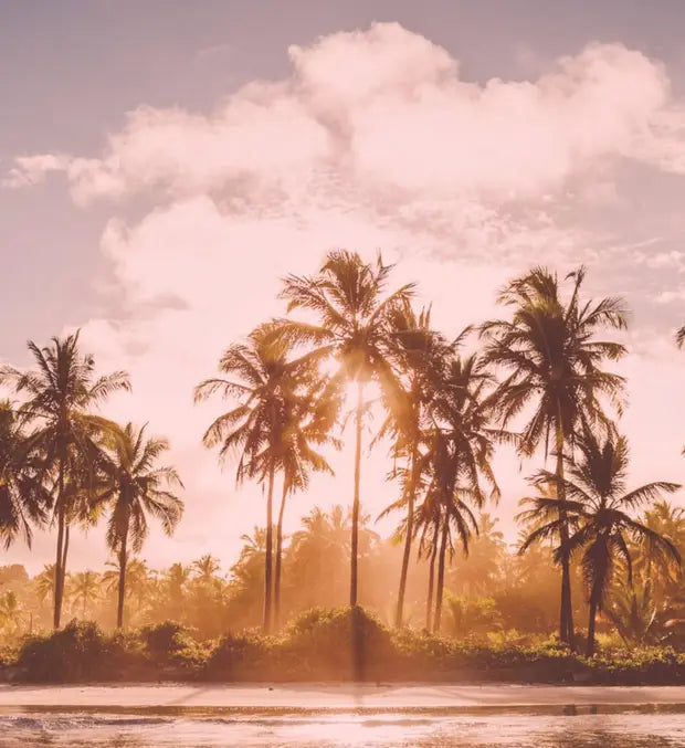 Smell center image 4