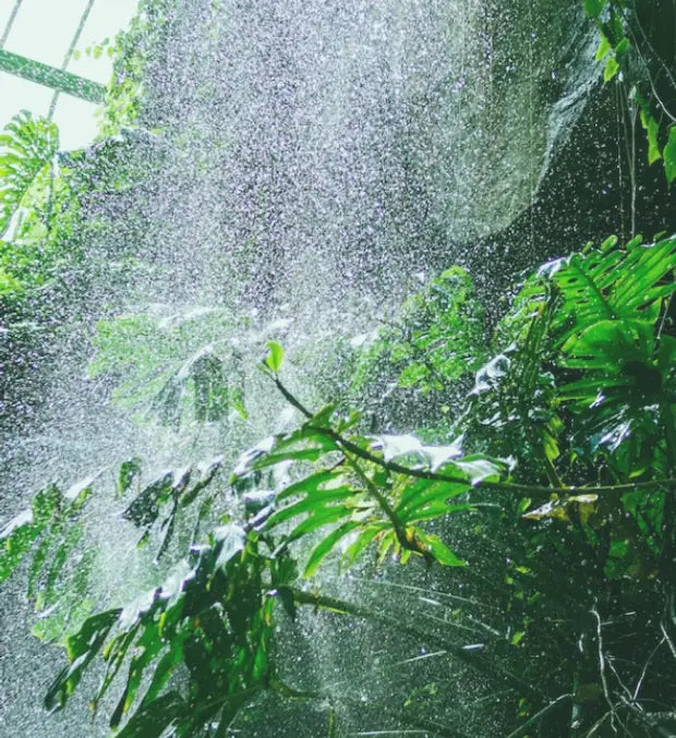 Smell center image 3