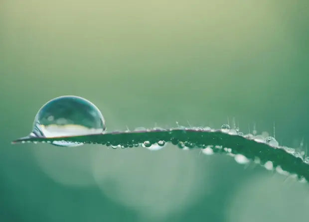 Smell center image 4