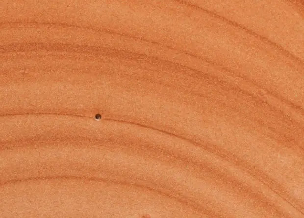 Smell center image 1