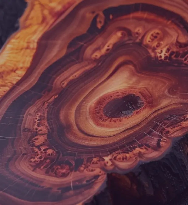 Smell center image 1