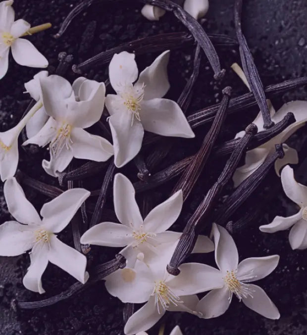 Smell center image 2