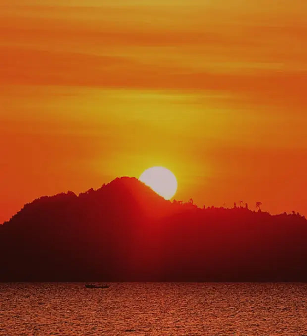 Smell center image 4