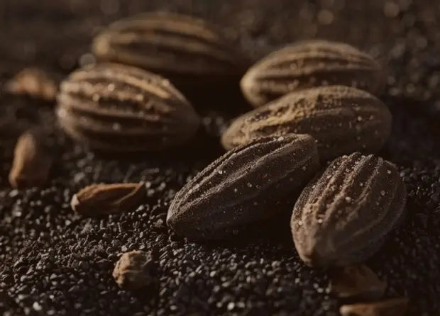 Smell center image 1