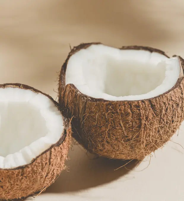 Smell center image 2