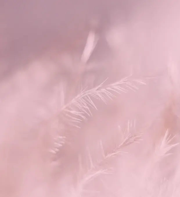 Smell center image 2