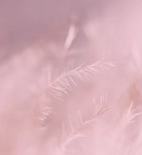 Smell center image