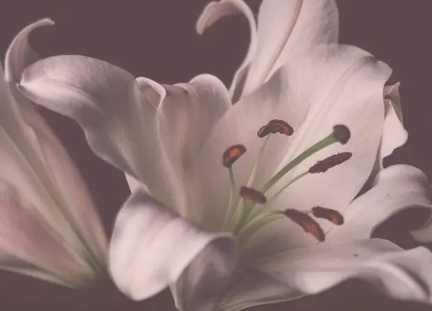 Smell center image 3