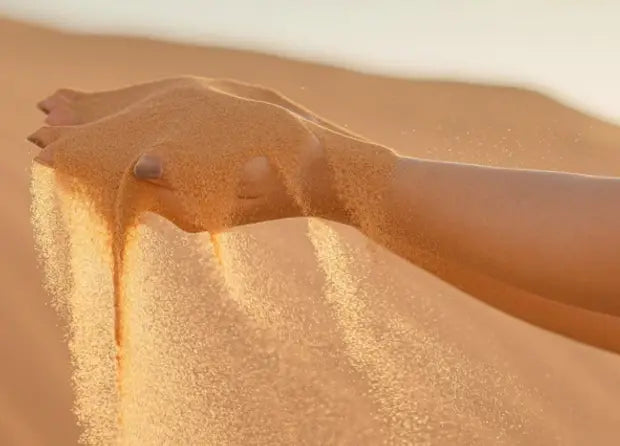 Smell center image 2