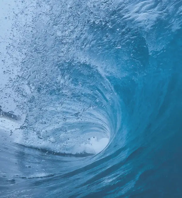 Smell center image 1