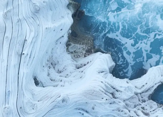 Smell center image 4