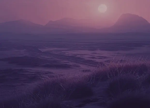 Smell center image 4