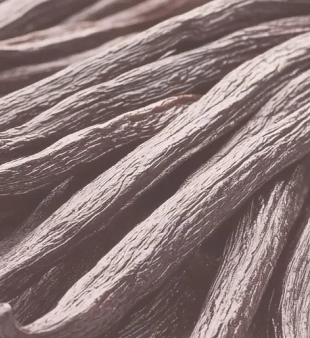 Smell center image 2