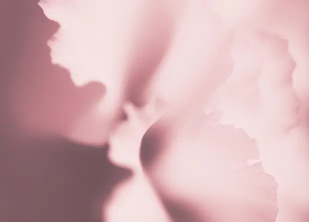 Smell center image 4