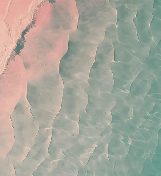 Smell center image 4