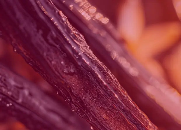 Smell center image 2