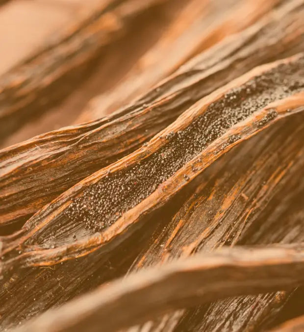 Smell center image 2