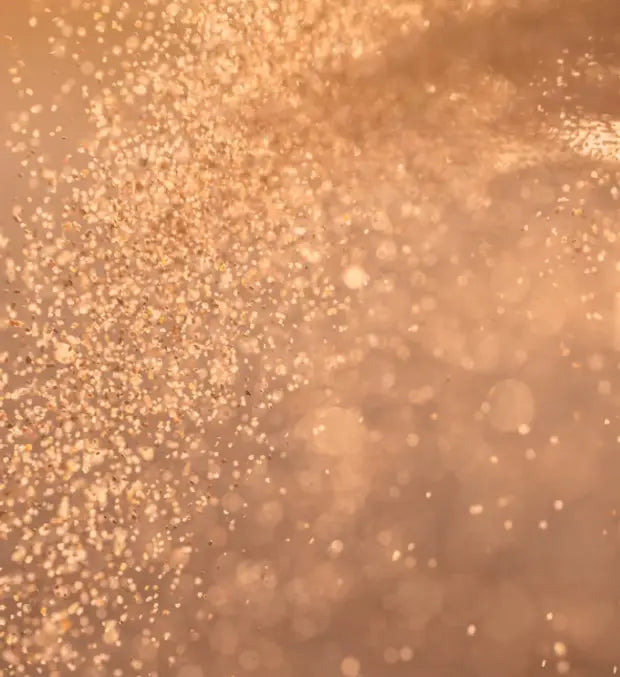 Smell center image 3