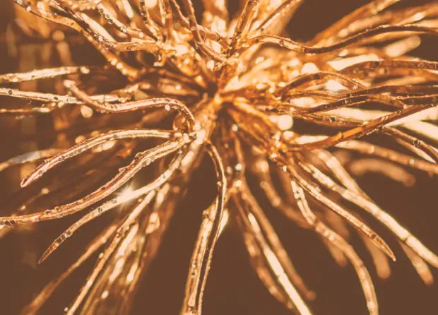 Smell center image 1