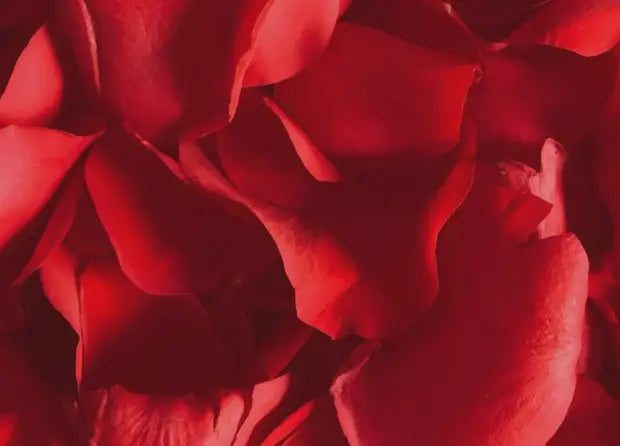 Smell center image 1