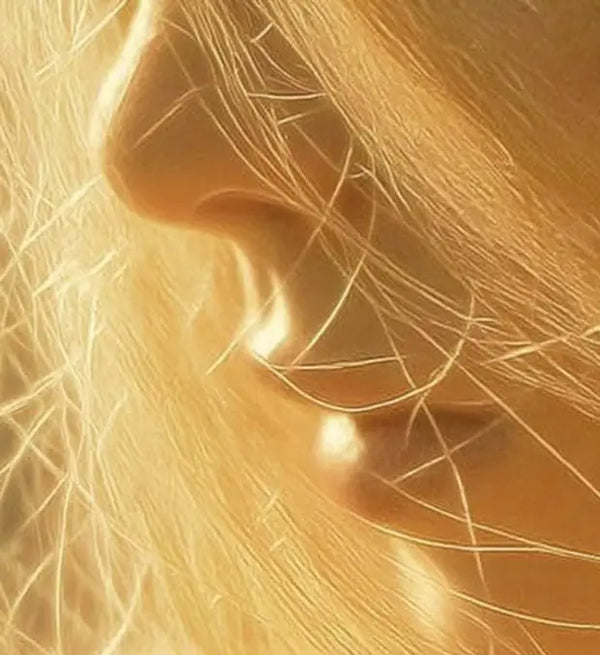 Smell center image