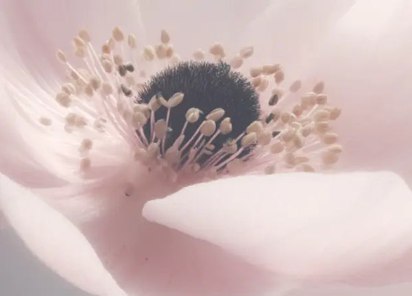 Smell right image