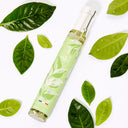 The Vert - EDP