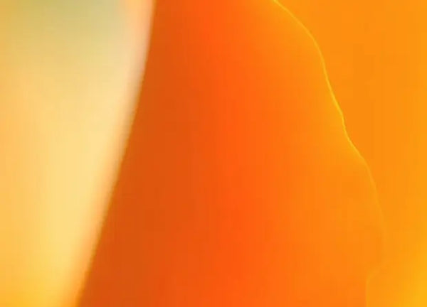 Smell center image