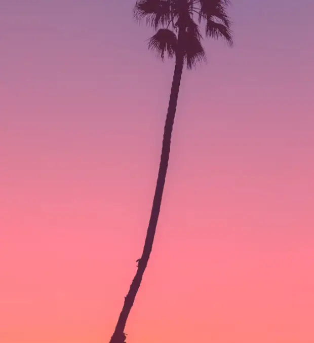 Smell center image 3