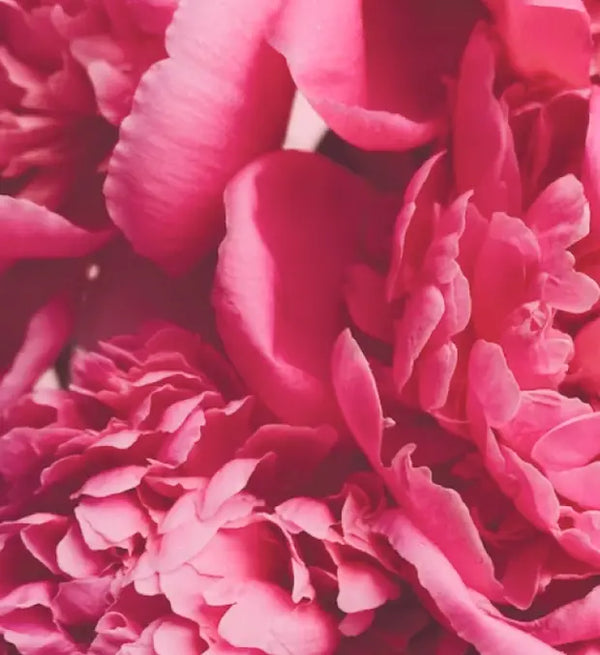 Smell right image