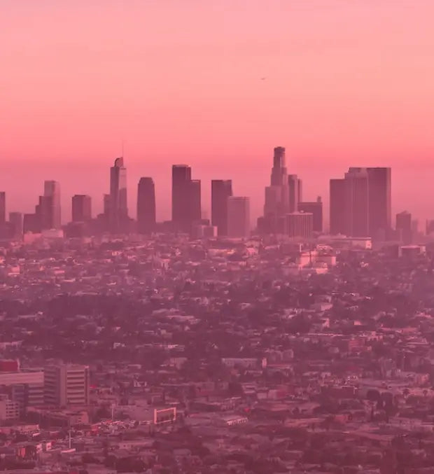 Smell center image 2