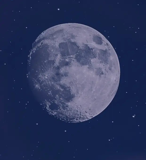 Smell center image 1