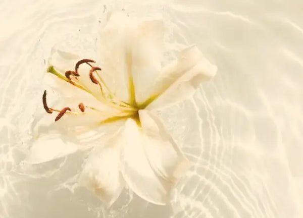 Smell center image