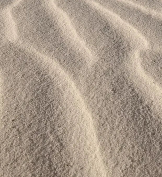 Smell center image 2