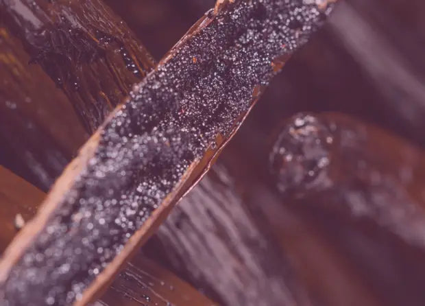 Smell center image 4