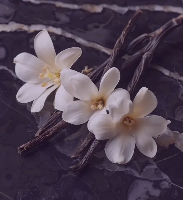 Smell center image 1