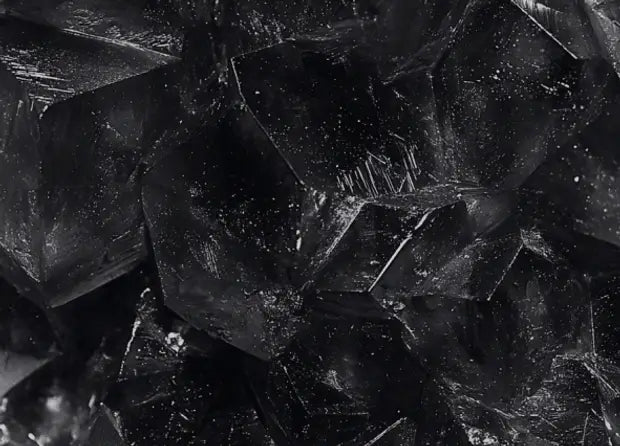 Smell center image 4